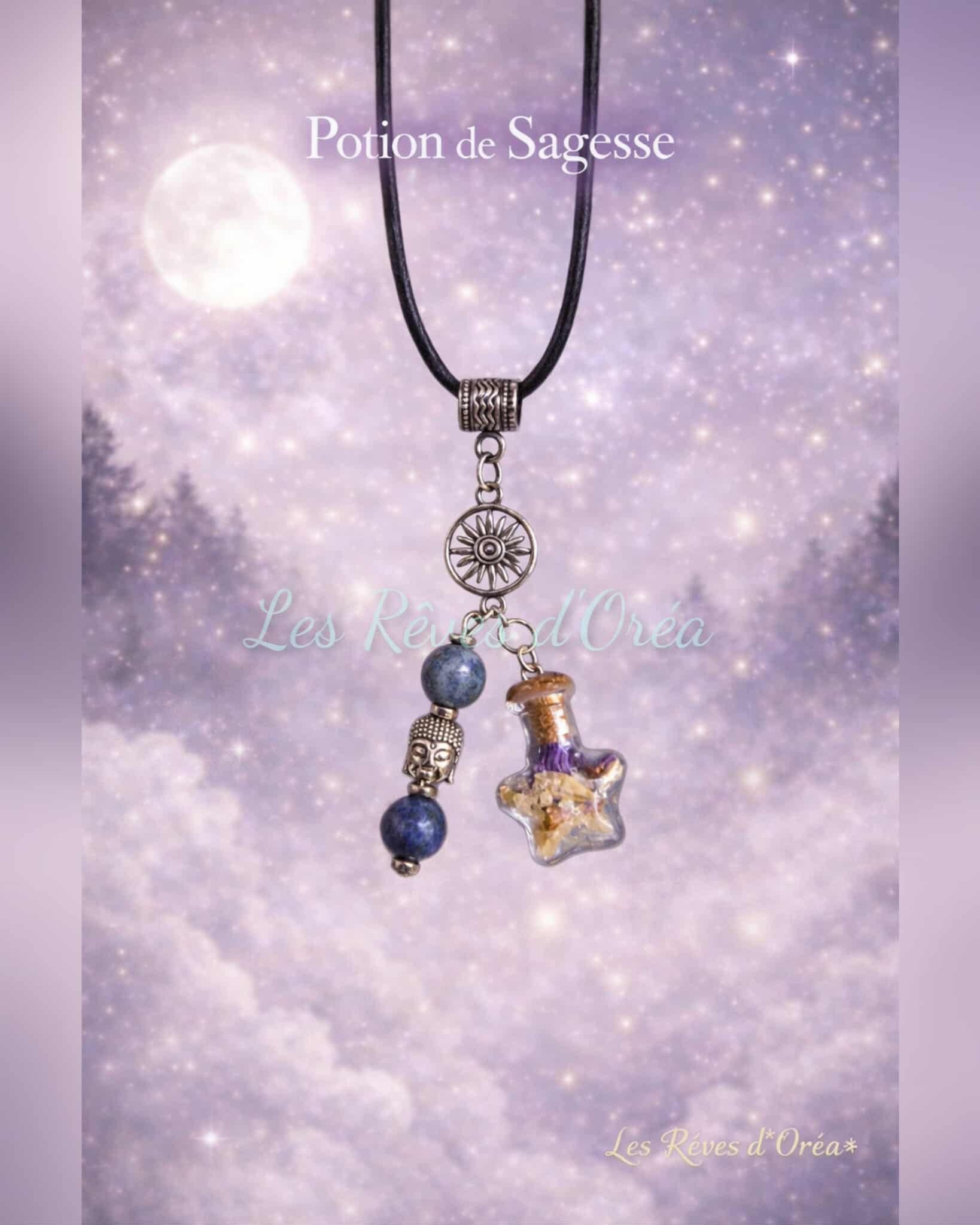 🏺Potion de Sagesse 🏺
