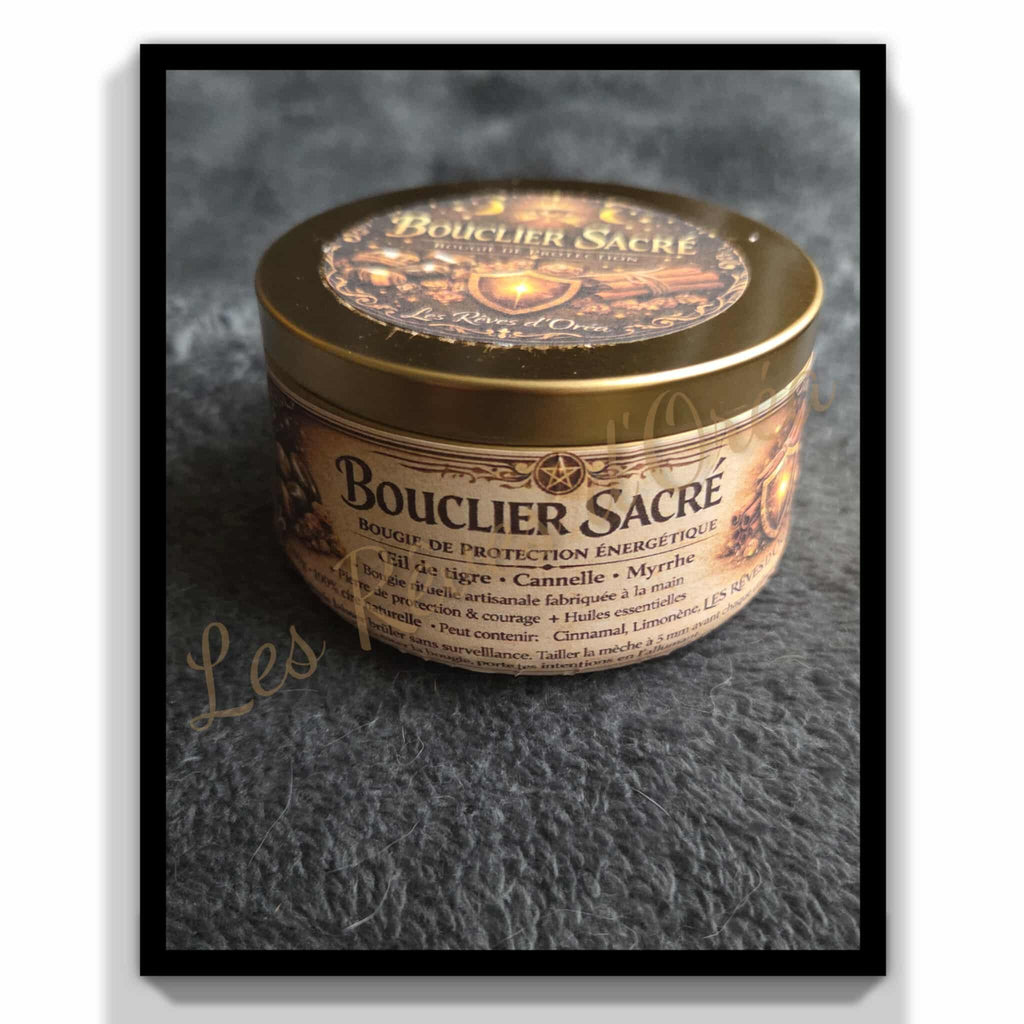 🛡️ BOUCLIER SACRÉ 🛡️