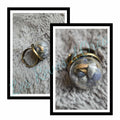 🔮 Bague Spell 💍 Cercle des Oracles